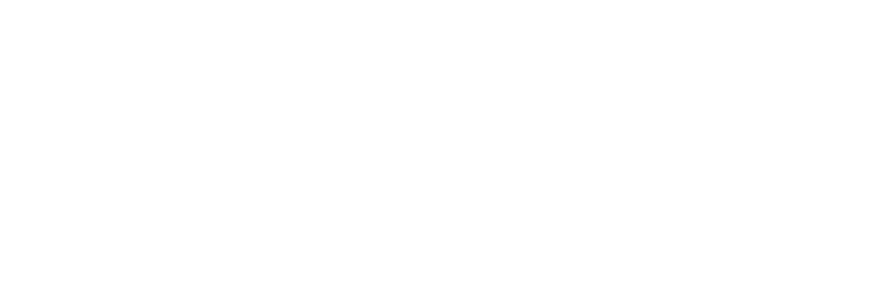 Wisag